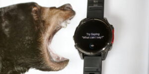OK Garmin voice command